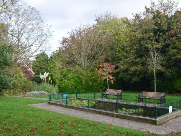 A picture of the fishpond at Gildredge Park in Eastbourne. It looks like autumn, as the leaves are starting to turn on the trees. It also looks smaller than I remember.
